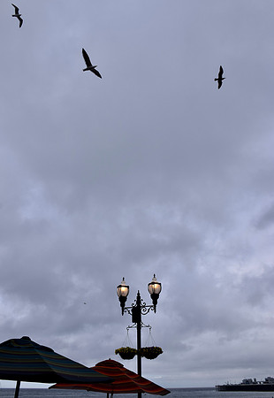 DSC_0283