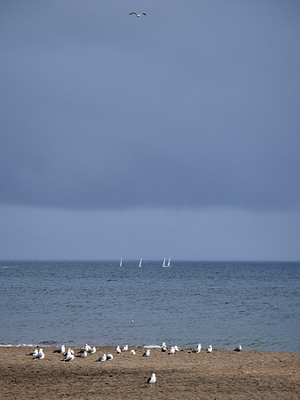 DSC_0332