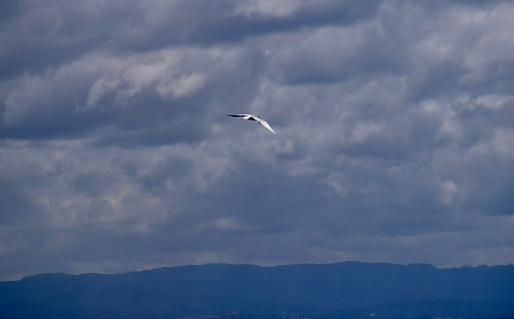 DSC_0030
