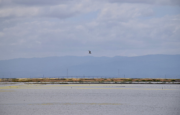 DSC_0040