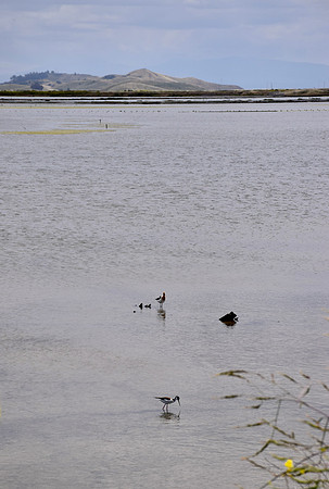 DSC_0055