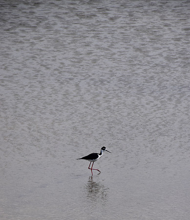 DSC_0060