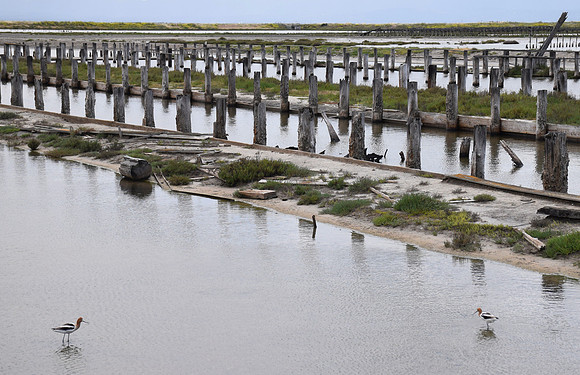 DSC_0079