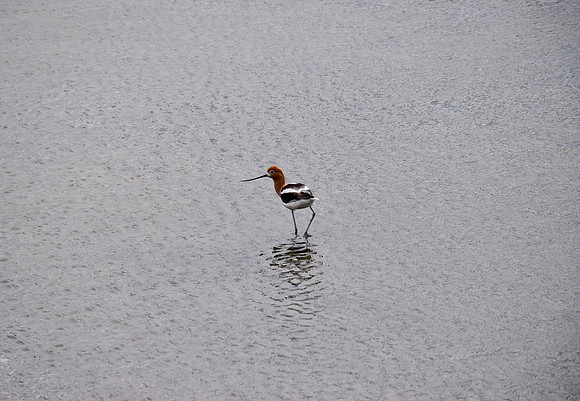 DSC_0081