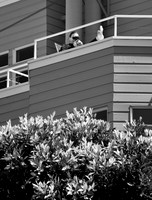 DSC_0004