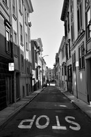 DSC_0037
