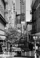 DSC_0165