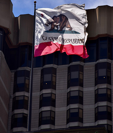 DSC_0179
