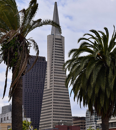 DSC_0314