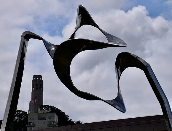 DSC_0255