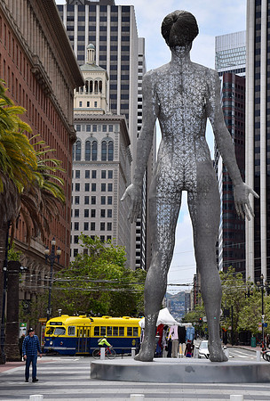 DSC_0377