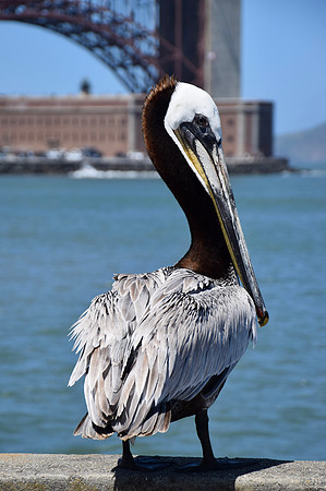 DSC_0163