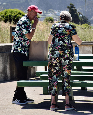 DSC_0226
