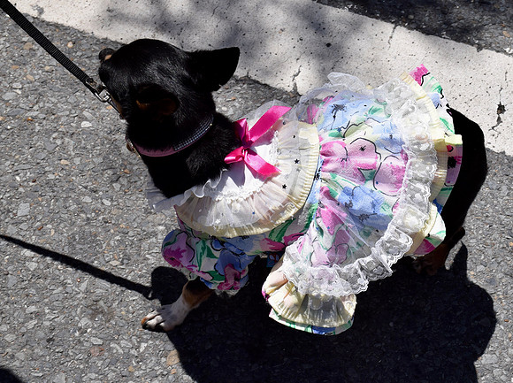 DSC_0169