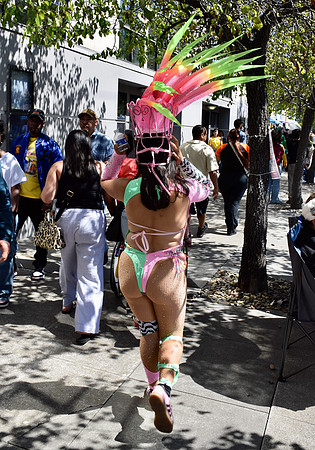 DSC_0291