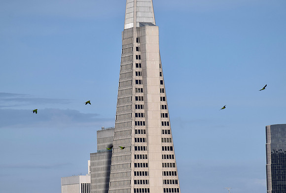 DSC_0235