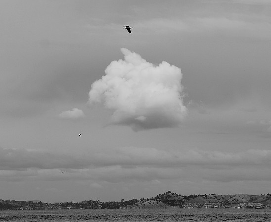 DSC_0333
