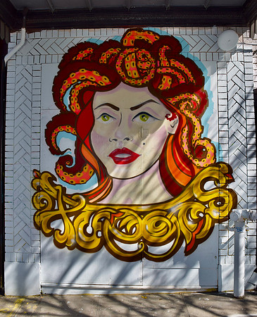 DSC_0209