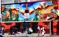 SF in Color 17