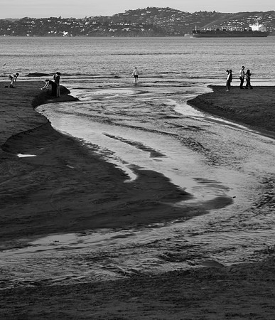 DSC_0116