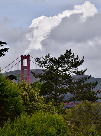 DSC_0101