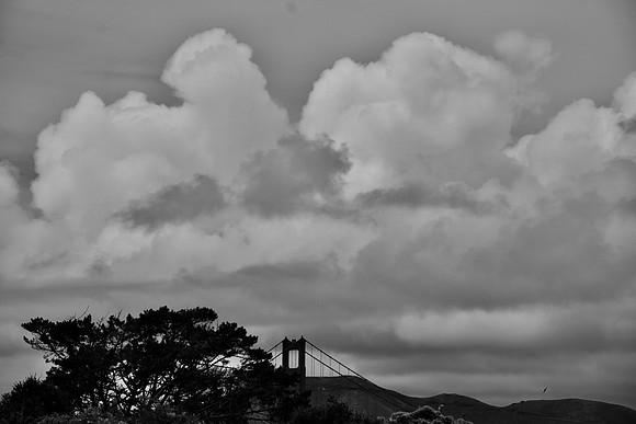 DSC_0136