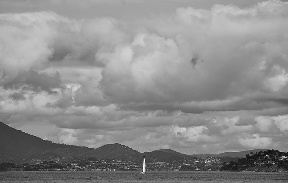 DSC_0222