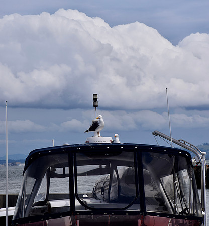 DSC_0258