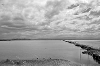 DSC_0018