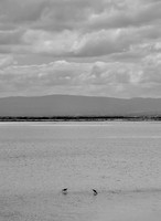 DSC_0037