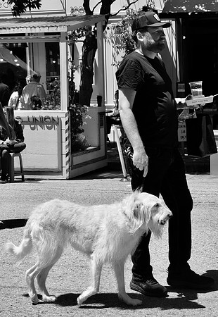 DSC_0271