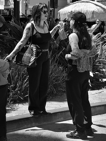 DSC_0326