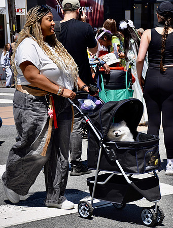 DSC_0276