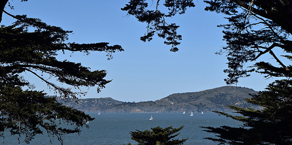 DSC_0016