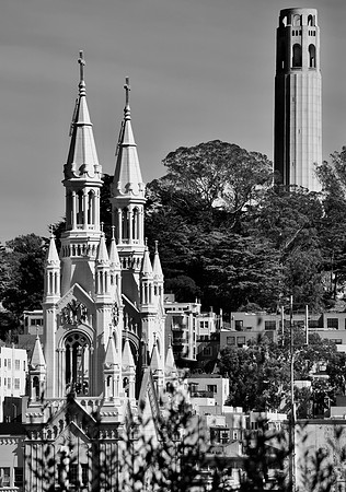 DSC_0175