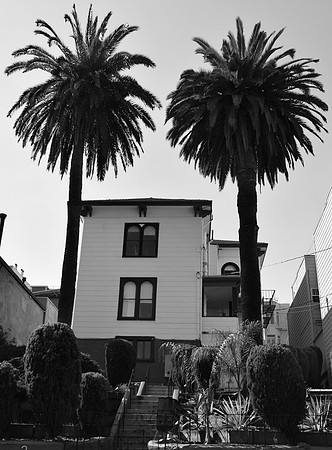 DSC_0193