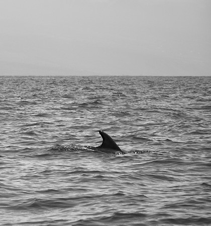 DSC_0281