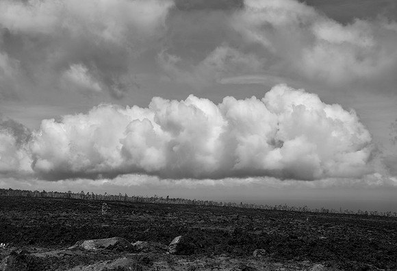 DSC_0734
