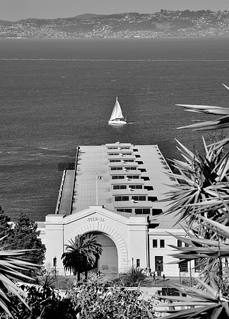 DSC_0173