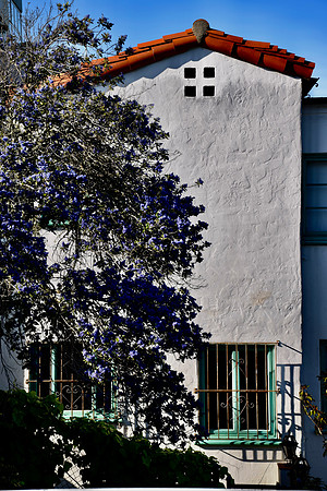 DSC_0181