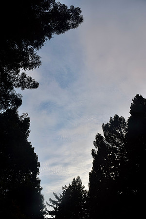 DSC_0572