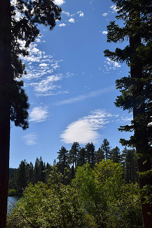 DSC_0726