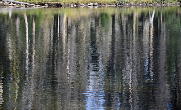 DSC_0744