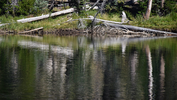 DSC_0750