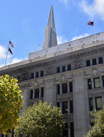 DSC_0571