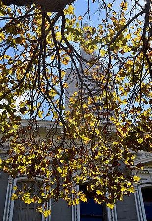DSC_0578