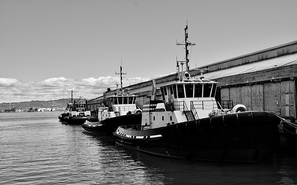 DSC_0016