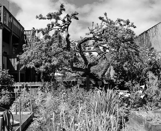 DSC_0074