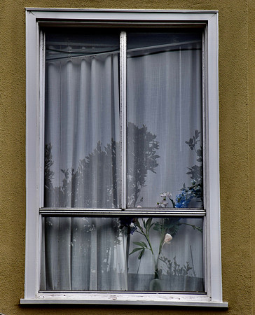 DSC_0026