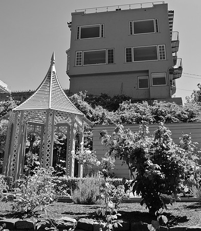 DSC_0007